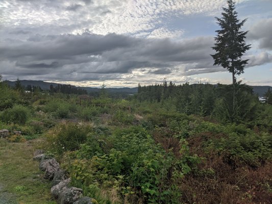 Ecoscape Cabins by null