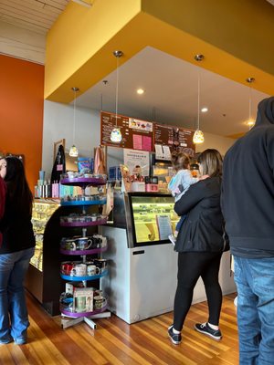 Chocolate & Ice Cream Delight