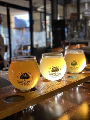 From the Earth Brewing Company by null