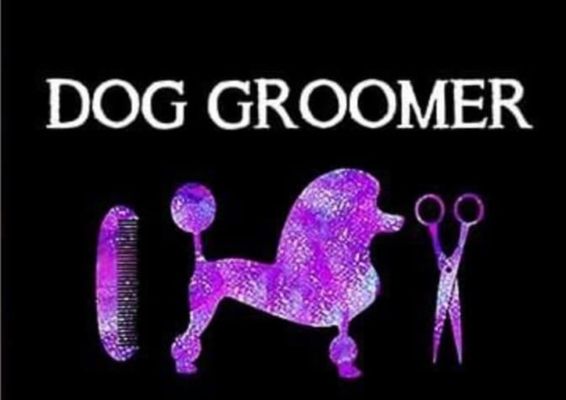 Pawfessional Dog and Cat Grooming