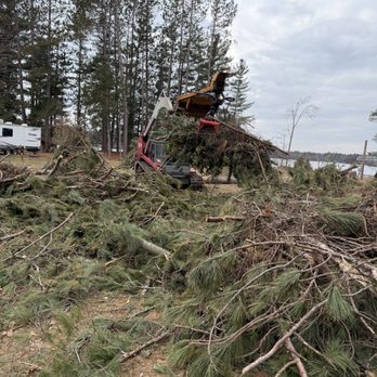 Quality Tree Service - Tree Services Near Me - Ashland, Wisconsin Quality Tree Service - Tree Services Near Me - Ashland, Wisconsin