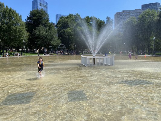 Boston Common Frog Pond by null