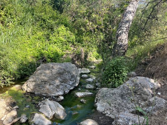 Temescal Gateway Park, Mountains Recreation & Conservation Authority by null