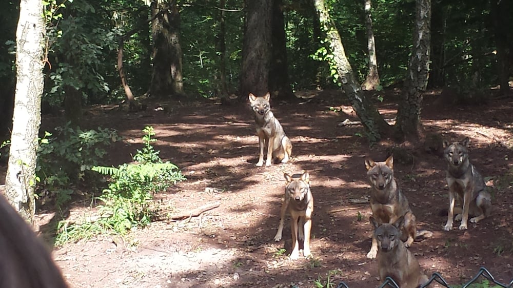 PARC ARGONNE DÉCOUVERTE Updated September 2024 RD946, OlizyPrimat