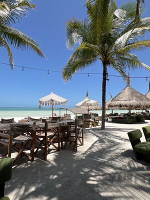 Casa Las Tortugas by null