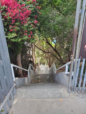1000 Steps Beach by null