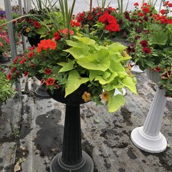Canyon Creek Gardens - Pedestal Urn