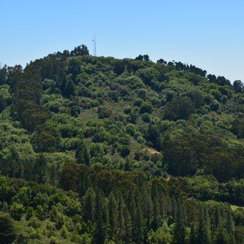 Seaview Trail At Inspiration Point - Hiking Near Me - Berkeley, California Seaview Trail At Inspiration Point - Hiking Near Me - Berkeley, California