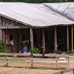 Bramblewood Stables - Bramblewood stables. Friday evening riding