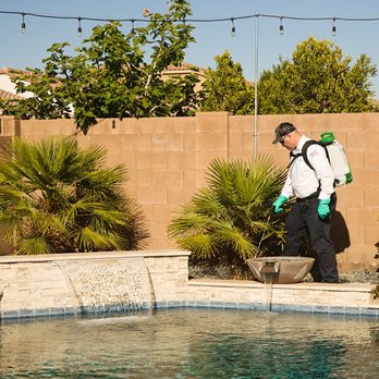 Pro Active Pest Control - Keep pest out of your yard with our year round service plan. - Pest Control Near Me - Chandler, Arizona Pro Active Pest Control - Keep pest out of your yard with our year round service plan. - Pest Control Near Me - Chandler, Arizona