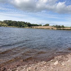 Farran Woods