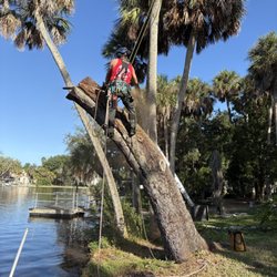 Climb High Tree Care - Oak removal over a dock and water