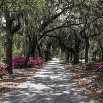 Bonaventure Cemetery Tours - Beautiful & serene - Historical Tours Near Me - Savannah, Georgia Bonaventure Cemetery Tours - Beautiful & serene - Historical Tours Near Me - Savannah, Georgia