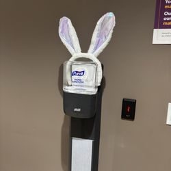 HonorHealth Rheumatology - Pima - Bunny ears on sanitizer