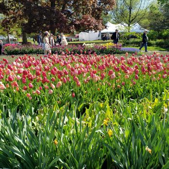 Washington Park - Parks Near Me Washington Park - Parks Near Me