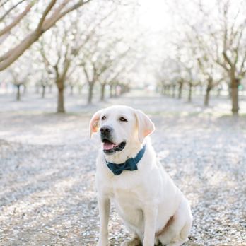 Anna Perevertaylo Photography - Session Photography Near Me Anna Perevertaylo Photography - Session Photography Near Me