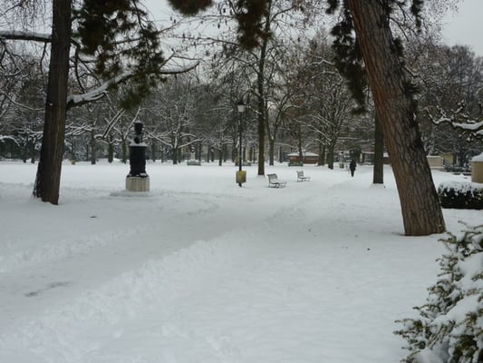 Reformation Wall by null