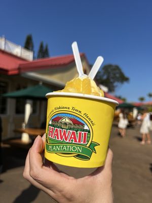 Dole Plantation by null