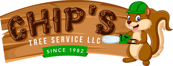 Chip's Tree Service - tree service in Jacksonville, FL