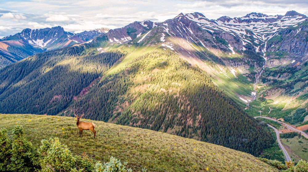 HIGH MOUNTAIN HUNTS Updated October 2024 Pagosa Springs, Colorado Hiking Hours Phone