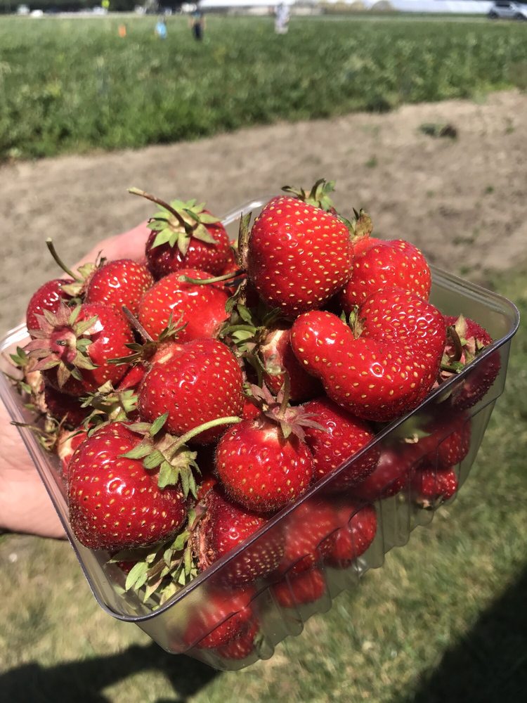 CREQUE’S GREENHOUSE 9700 Sylvania Ave, Sylvania, OH Yelp