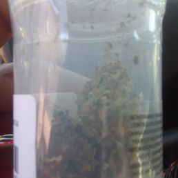 Huge buds for a patient person I care for. I hate the smell but she says this place has the best. LoL Huge buds for a patient person I care for. I hate the smell but she says this place has the best. LoL