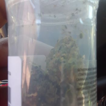 Phytologie Oakland - Huge buds for a patient person I care for. I hate the smell but she says this place has the best. LoL - Cannabis Clinics Near Me - Oakland, California Phytologie Oakland - Huge buds for a patient person I care for. I hate the smell but she says this place has the best. LoL - Cannabis Clinics Near Me - Oakland, California
