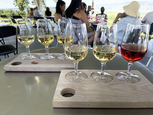 Vignoble Isle de Bacchus by null