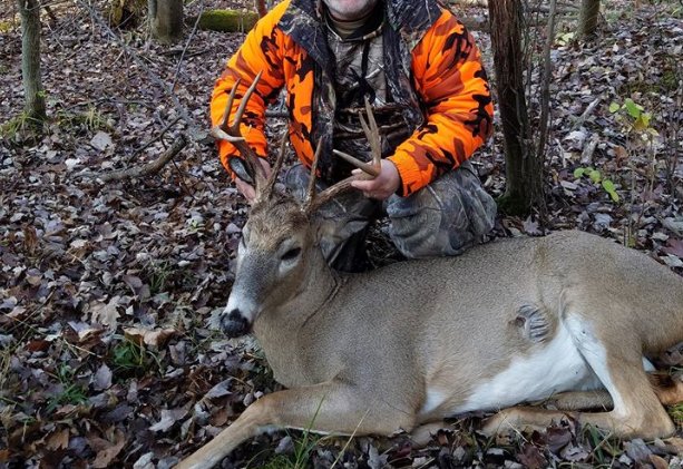 Buck Stop Taxidermy - taxidermy in Westland, MI