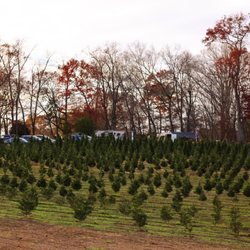 7 G's Farm - Trees