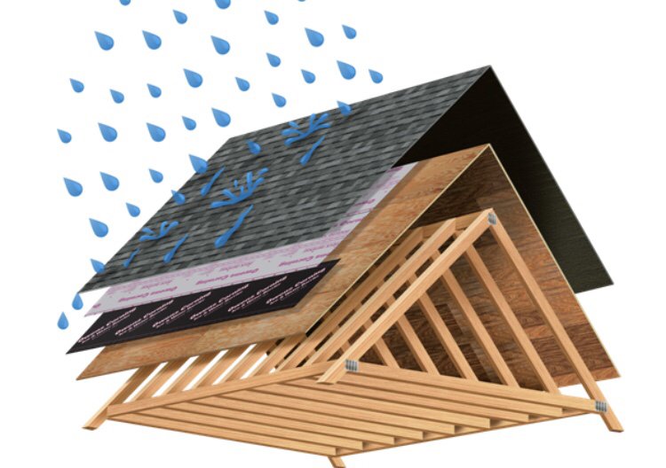 Slide of Born 2 Roof