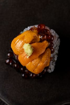 Sushi Gaga by null