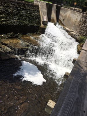 Belfountain Conservation Area by null