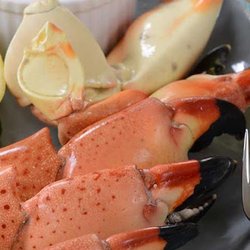 M&D Seafood Supply - M & D Seafood