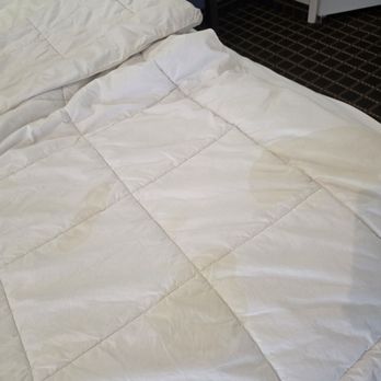 Hotel Solares - URINE STAINS - Hotels Near Me - Santa Cruz, California Hotel Solares - URINE STAINS - Hotels Near Me - Santa Cruz, California
