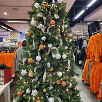 VolShop - tree - Accessories Near Me - Knoxville, Tennessee VolShop - tree - Accessories Near Me - Knoxville, Tennessee