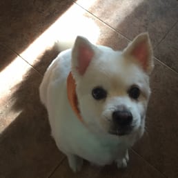 Here's Jack after his visit today. Here's Jack after his visit today.