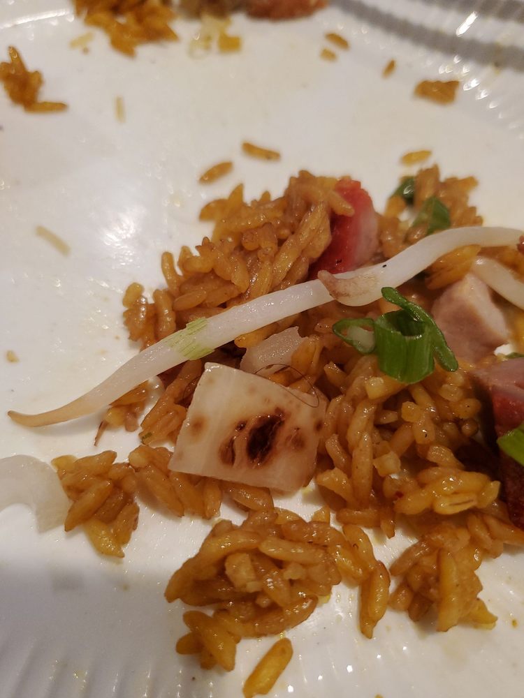 SIX HAPPINESS RESTAURANT 29 Reviews 1378 Crosby Ave, Bronx, New