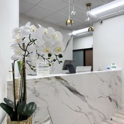 Wellness Evolved Chiropractic - Front office.