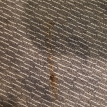 Express by Holiday Inn - Poop stains on the carpet - Hotels Near Me - London, XGL