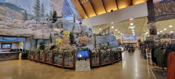 BASS PRO SHOPS - Updated January 2025 - 59 Photos & 63 Reviews - 2421 S