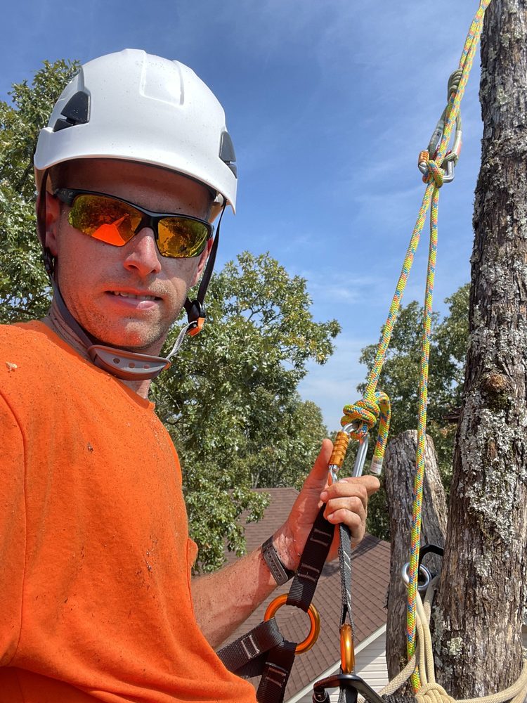 Arrow Tree Services - tree service in Little Rock, AR