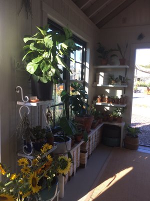 Southall Farm & Inn Farmstand by null