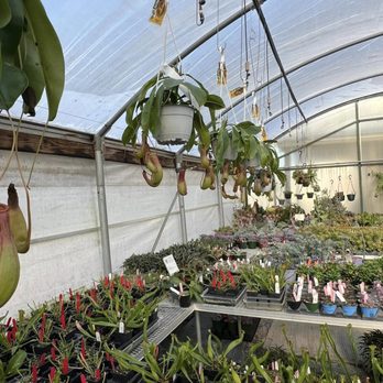 Evans Plant Farm - Gardeners Near Me - Murfreesboro, Tennessee Evans Plant Farm - Gardeners Near Me - Murfreesboro, Tennessee