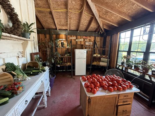 The Folk Collaborative by null