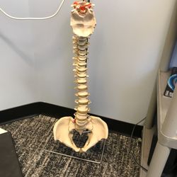 Riverview Family Chiropractic Center