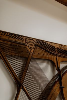 Playa Studios by null