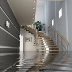 Rapid Rooter Sewer & Drain