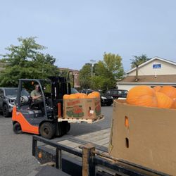 Paradis Ace Hardware - Pumpkins at the outdoor center. Available seasonally.
