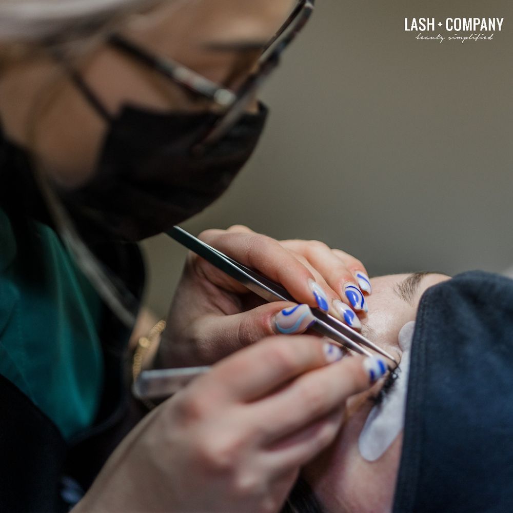 Lash and Company Logo